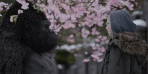 New Movies This Week: War for the Planet of the Apes, Wish Upon and more!