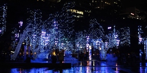 FIRST LOOK: The Festival of Lights at the Ayala Triangle Gardens