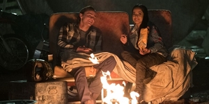 Catch adventure film, A.X.L. in cinemas today!