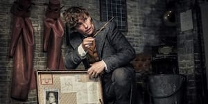 'Fantastic Beasts: The Crimes of Grindelwald' and the Curse of The Bridging Film in a Series