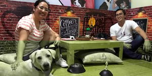 Have a “FURst Date” with Shelter Dogs and Cats From the PAWS Rescue Center!