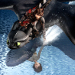 WATCH Epic Tale Soars in How to Train Your Dragon 3 Trailer
