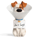 WATCH Hero Dog Max Takes Trip to the Vet in First The Secret Life of Pets 2 Trailer