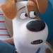 The Secret Life of Pets 2 is About Family and Pet Connection