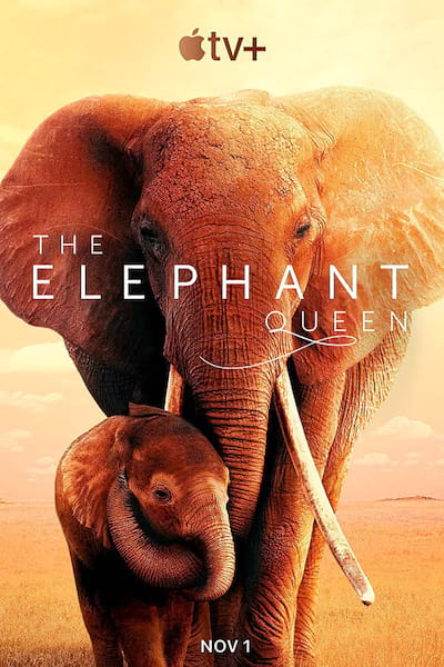 The Elephant Queen poster