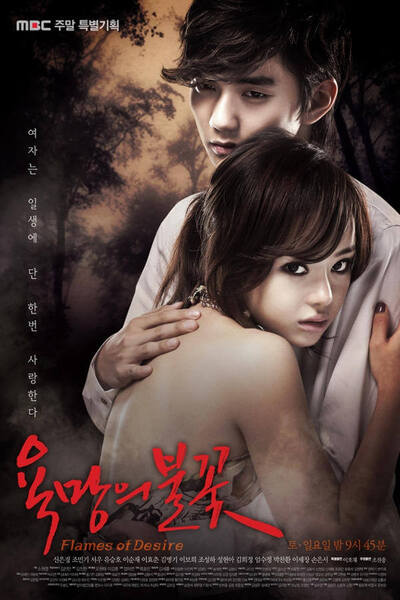 Flames of Desire poster