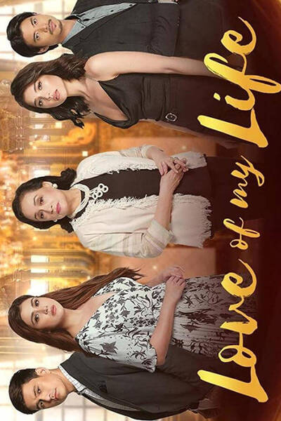 Love of My Life poster