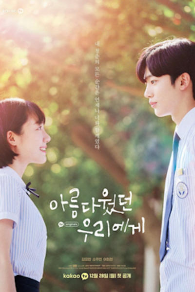 A Love So Beautiful poster