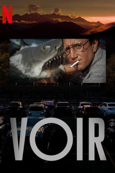 Voir poster