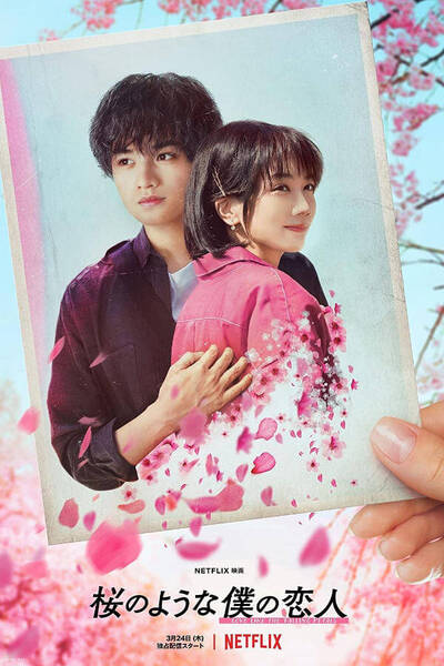 Love Like the Falling Petals poster