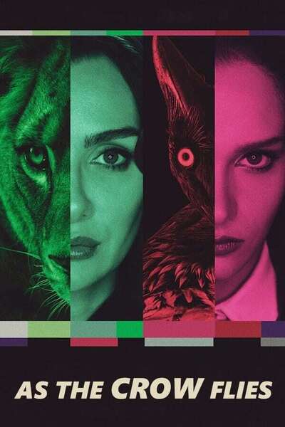 As the Crow Flies poster