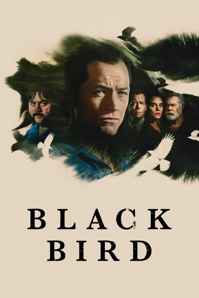 Black Bird poster