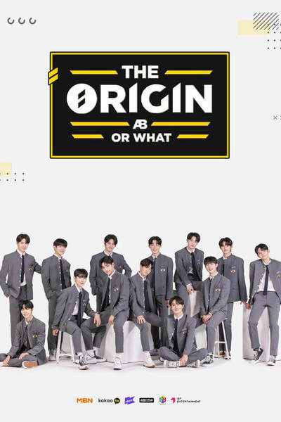 The Origin – A, B, Or What? poster