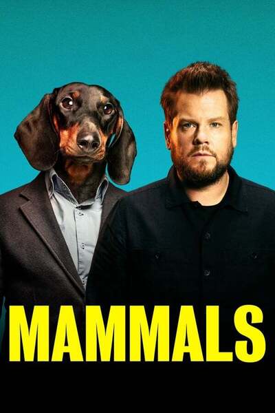 Mammals poster