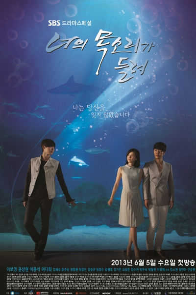 I Hear Your Voice poster