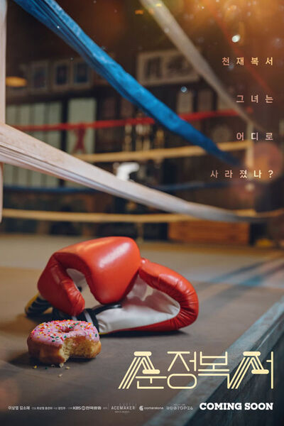 Pure Boxer poster