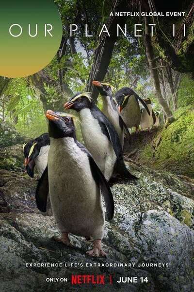 Our Planet II poster