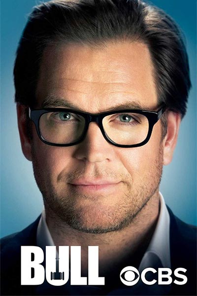 Bull poster