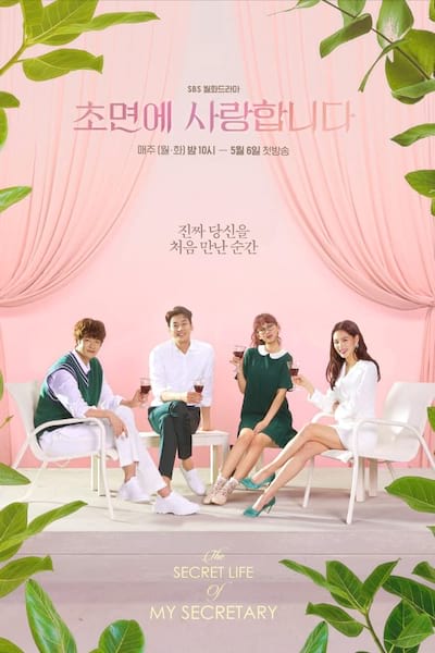 The Secret Life of My Secretary poster