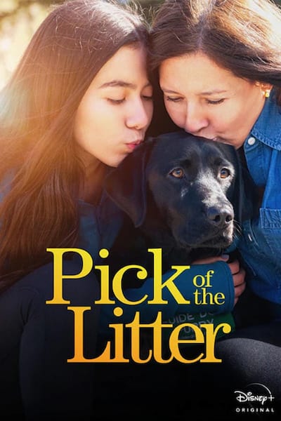 Pick of the Litter poster