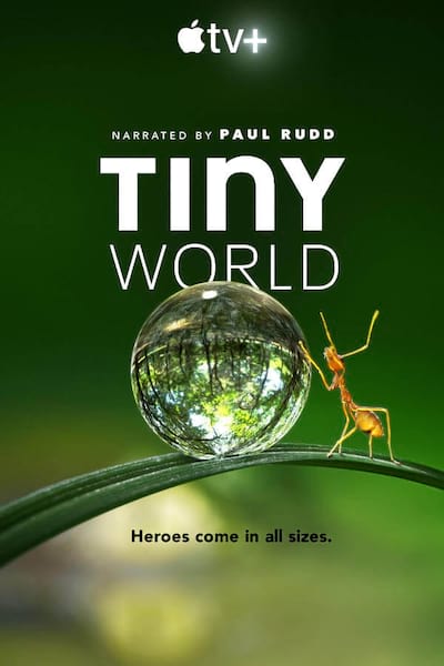 Tiny World poster