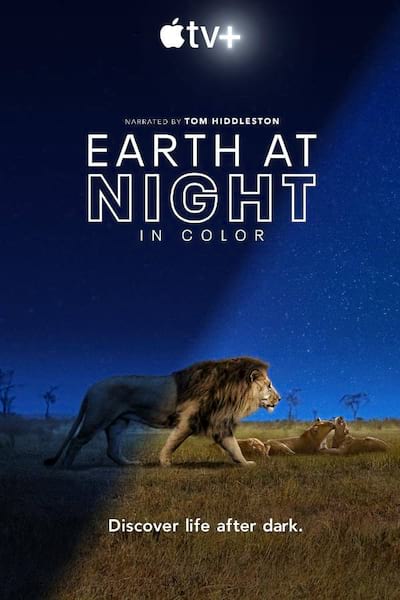 Earth At Night In Color poster