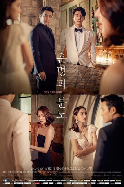 Fates & Furies poster