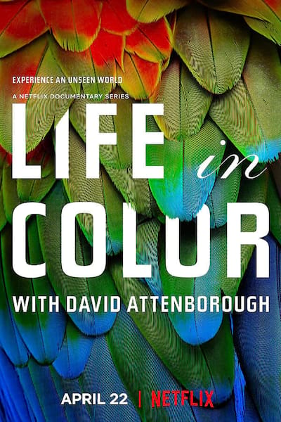 Life in Colour with David Attenborough poster