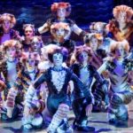 Cats The Musical