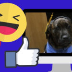 Lockdown Entertainment homestream image