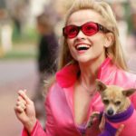 Legally Blonde 3 homestream image
