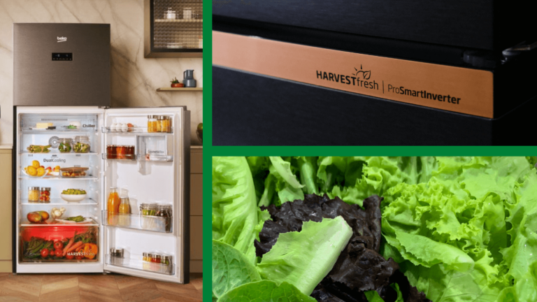 Beko Refrigerator - HarvestFresh