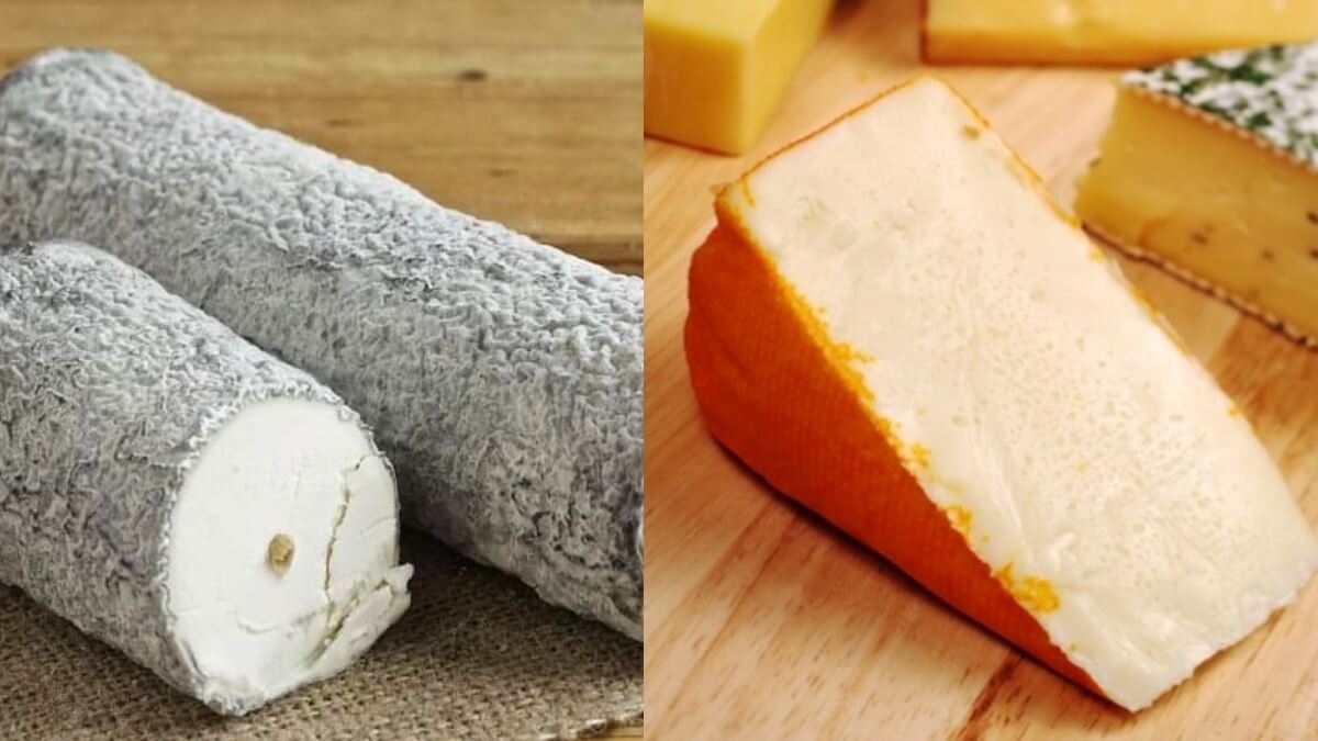 The Tasting Club to Launch 'The Grand French Wine and Cheese Tour' This