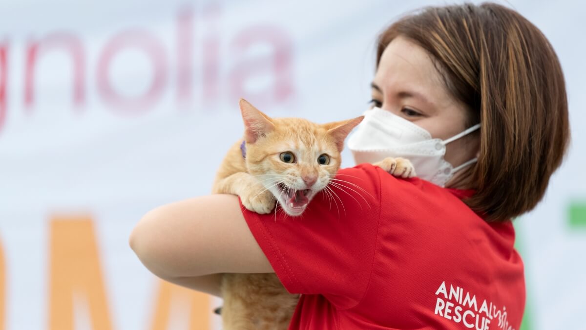 In Partnership with AKF, Robinsons Malls Takes Steps to Protect