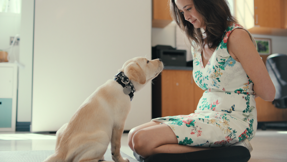 What’s New On Netflix This August 2024 105 Inside the Mind of a Dog