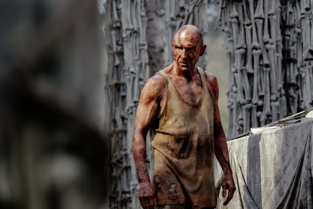 Movie Review: The Unexpected Duality of ‘28 Years Later’ 6 RalphFiennes 28Yrslater 1