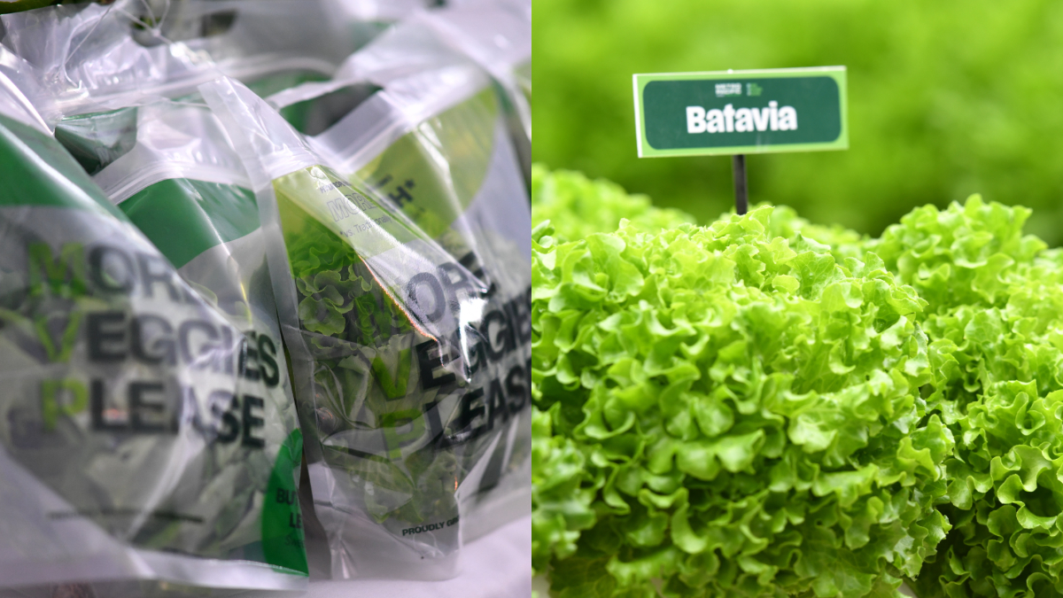 More Veggies Please Begins Rollout in Metro Manila Supermarkets, Starting with S&R