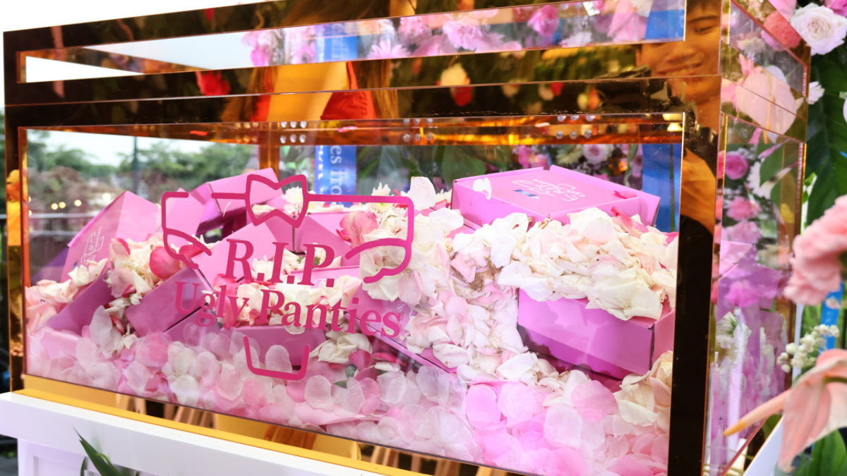 Say Goodbye to Your Ugly Period Panties For Good