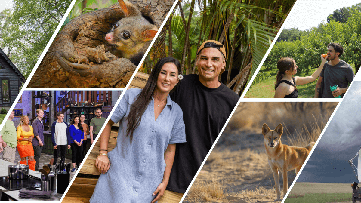 Adventure, Romance, Horror and More on Discovery Channel, TLC, HGTV, AFN And Animal Planet