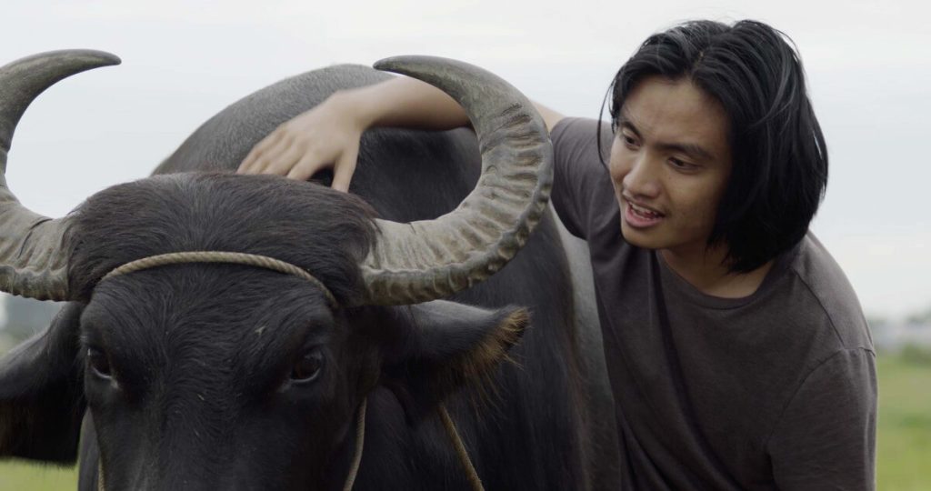 Jemuel Satumba as Lino with his carabao in Bakit Ako Sinusundan ng Buwan