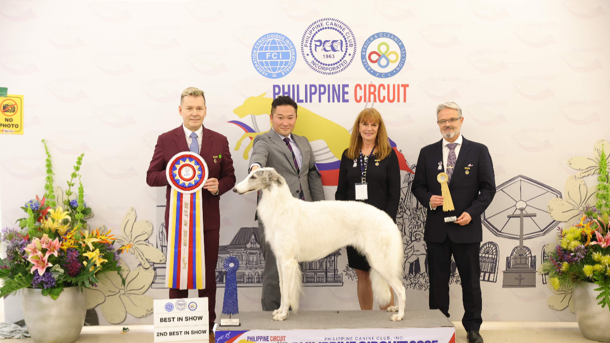 Featured image for Asia’s Biggest Dog Show Makes a Grand Comeback at Smart Araneta Coliseum