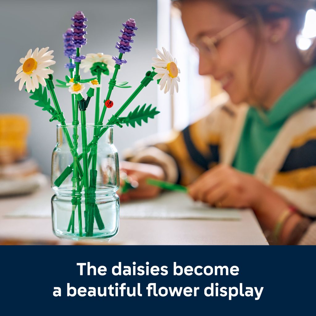 Botanicals Daisies