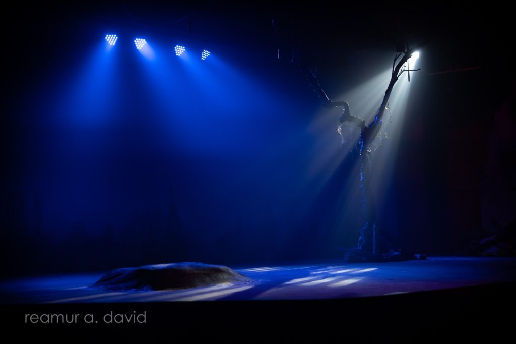 THEATER REVIEW: Teatro Meron’s ‘Waiting for Godot’ 4 Teatro Meron Waiting for Godot DSC00020