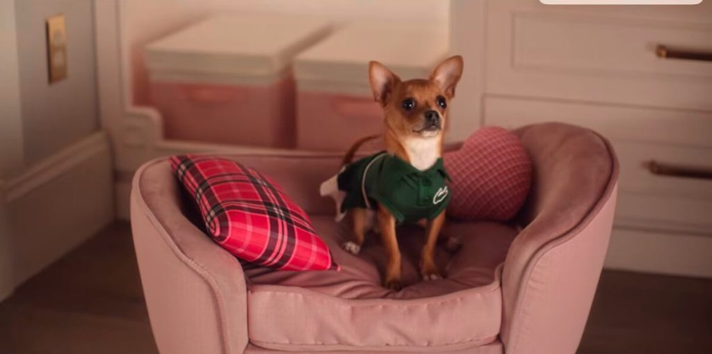 Prime Video Drops Official Teaser Trailer for "Elle," the Legally Blonde Prequel Series 3 2 2