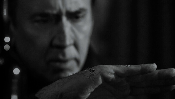 Spider Noir 2026 05 19 at 6.28.49 PM Stills