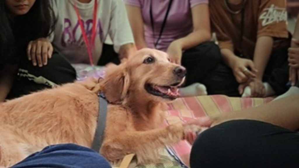 Pets supporting human health and welfare: Philippine-based Communitails awarded Royal Canin Foundation grant to advance trauma-informed care 2 Royal Canin 1