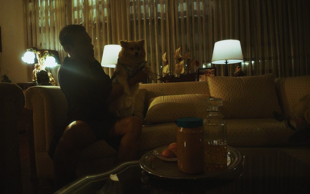 CINEMALAYA 22 FILM FESTIVAL REVIEW: Dustin Celestino’s ‘A.ni.mal’ Is a Comedic Departure From His Previous Cinemalaya Work 1 ANML Film Still 06 Cinemalaya 22