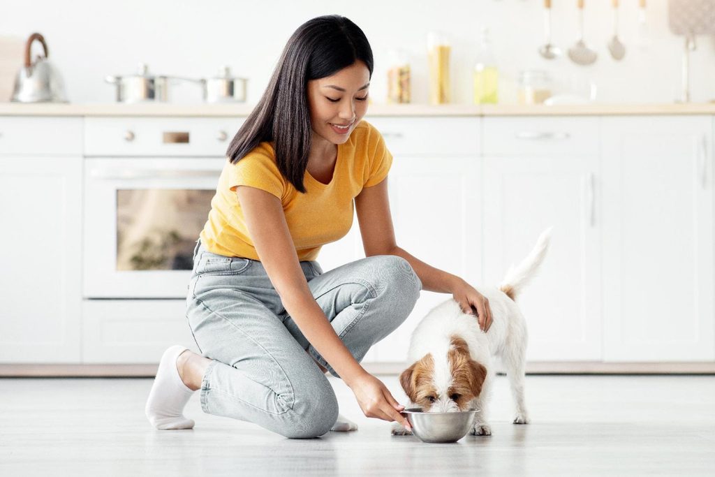 What’s Really In the Bowl? Why Pet Parents Deserve More than an Ingredients List 1 image1